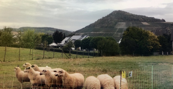 Metzgerei Effert Heimersheim